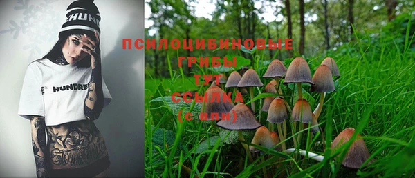 дмт Баксан