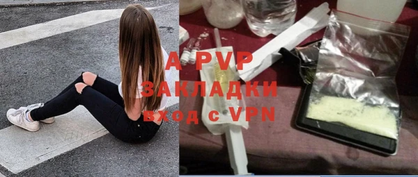 шишки Балахна